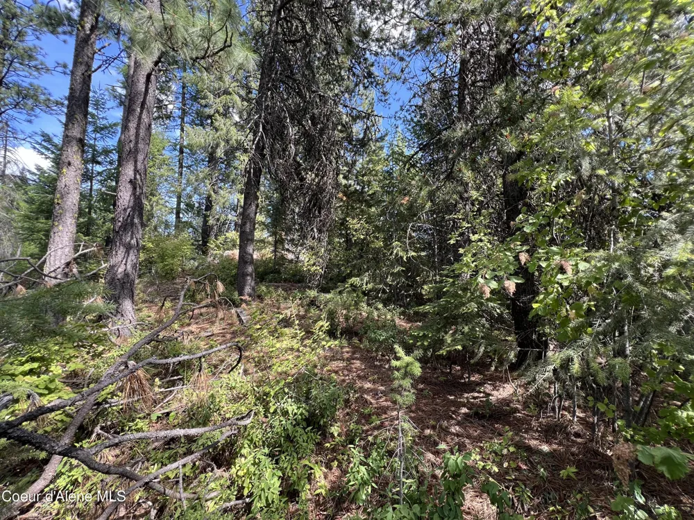 1425 Upriver View Drive Fernwood, ID 83830