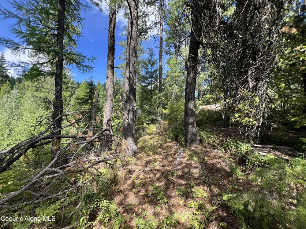 1425 Upriver View Drive Fernwood, ID 83830
