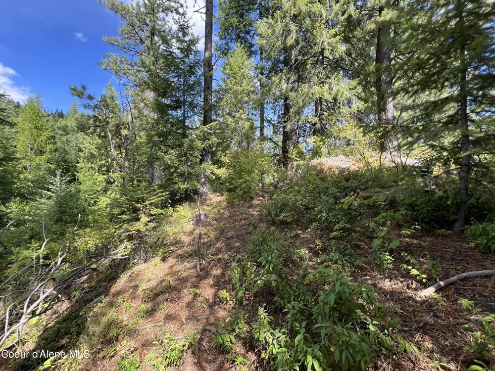 1425 Upriver View Drive Fernwood, ID 83830