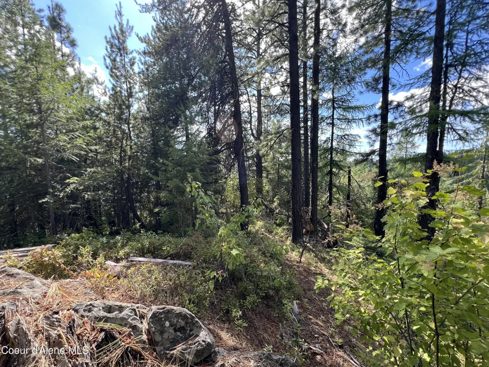 1425 Upriver View Drive Fernwood, ID 83830