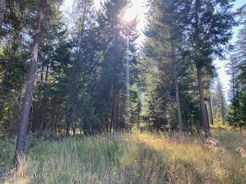 L6B9 Walden Loop