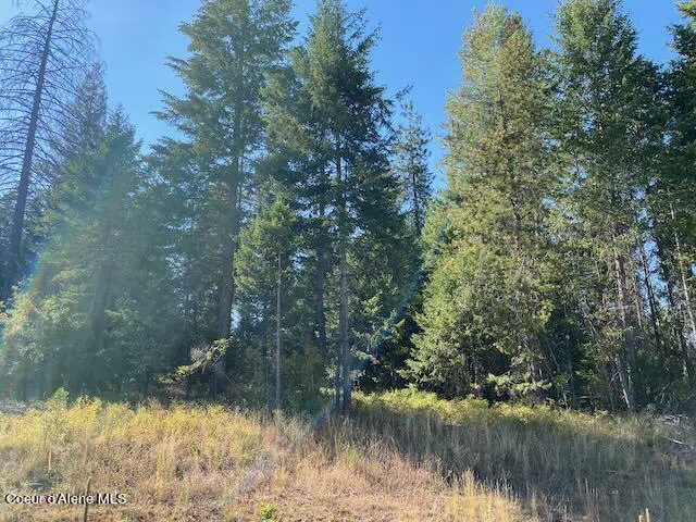 L6B9 Walden Loop Rathdrum, ID 83858