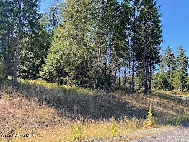 L6B9 Walden Loop Rathdrum, ID 83858
