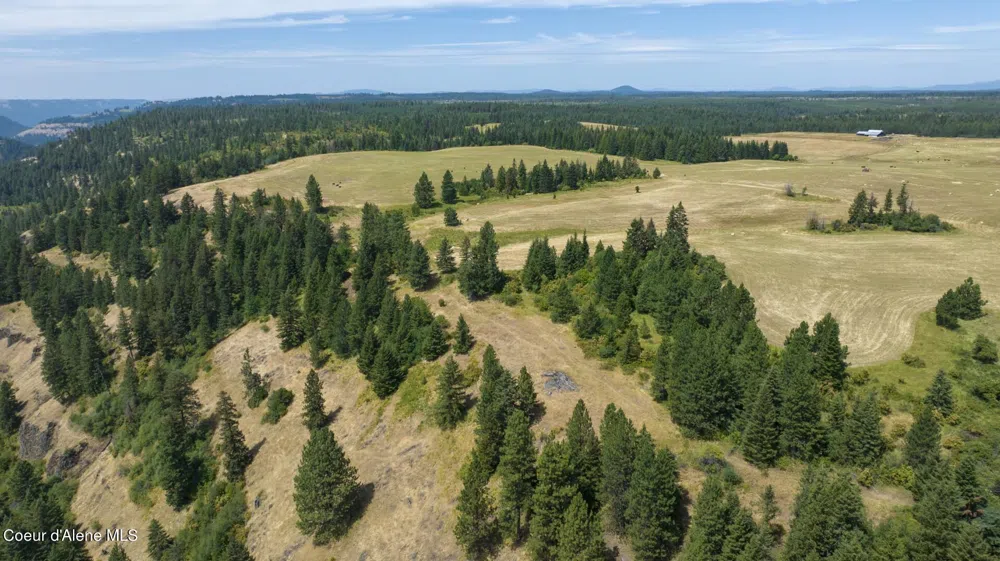 1605 Jasmine Ln, Parcels 16 & 17 Weippe, ID 83553