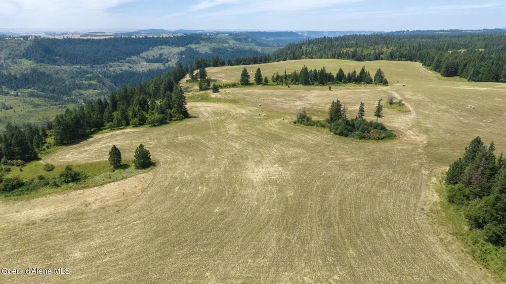 1605 Jasmine Ln, Parcels 16 & 17 Weippe, ID 83553