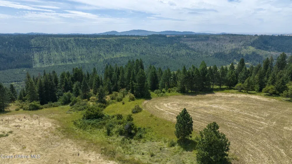 1605 Jasmine Ln, Parcels 16 & 17 Weippe, ID 83553