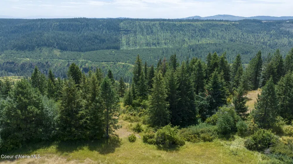 1605 Jasmine Ln, Parcels 16 & 17 Weippe, ID 83553