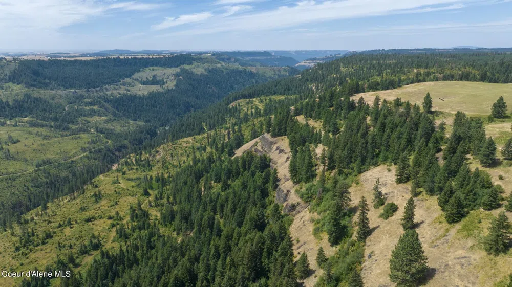 1605 Jasmine Ln, Parcels 16 & 17 Weippe, ID 83553