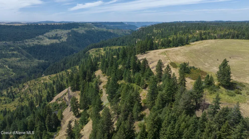 1605 Jasmine Ln, Parcels 16 & 17 Weippe, ID 83553