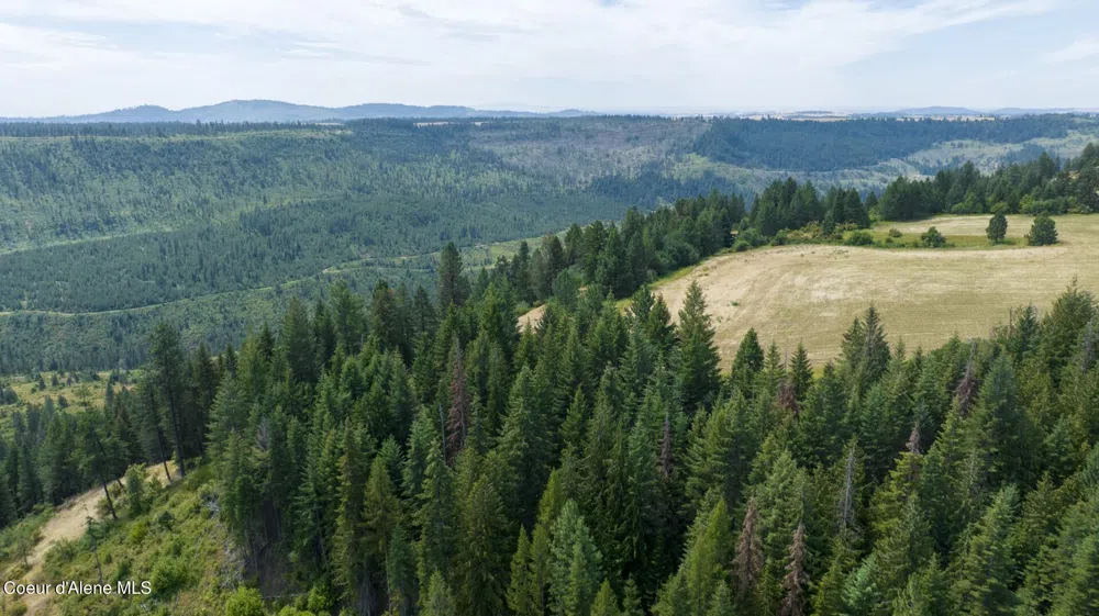 1605 Jasmine Ln, Parcels 16 & 17 Weippe, ID 83553
