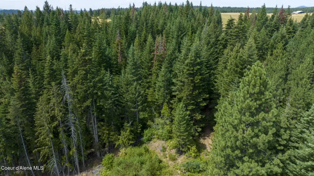 1605 Jasmine Ln, Parcels 16 & 17 Weippe, ID 83553