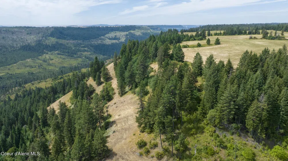 1605 Jasmine Ln, Parcels 16 & 17 Weippe, ID 83553