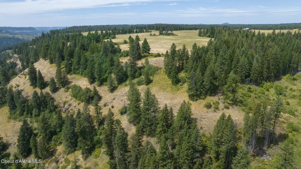 1605 Jasmine Ln, Parcels 16 & 17 Weippe, ID 83553
