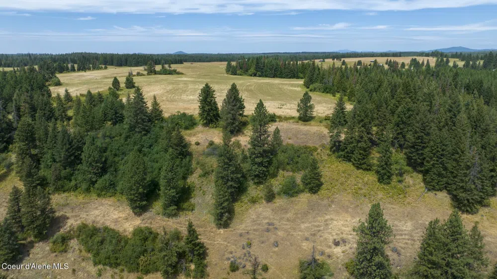 1605 Jasmine Ln, Parcels 16 & 17 Weippe, ID 83553