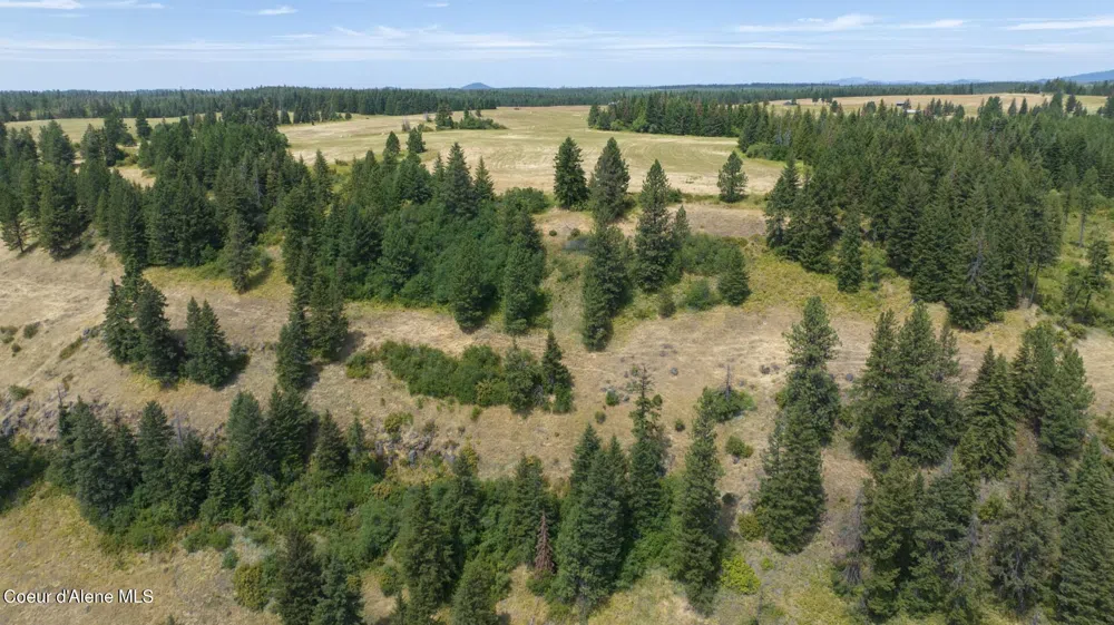 1605 Jasmine Ln, Parcels 16 & 17 Weippe, ID 83553