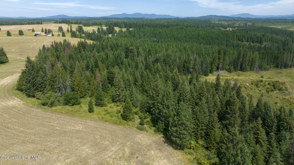 1605 Jasmine Ln, Parcels 16 & 17 Weippe, ID 83553