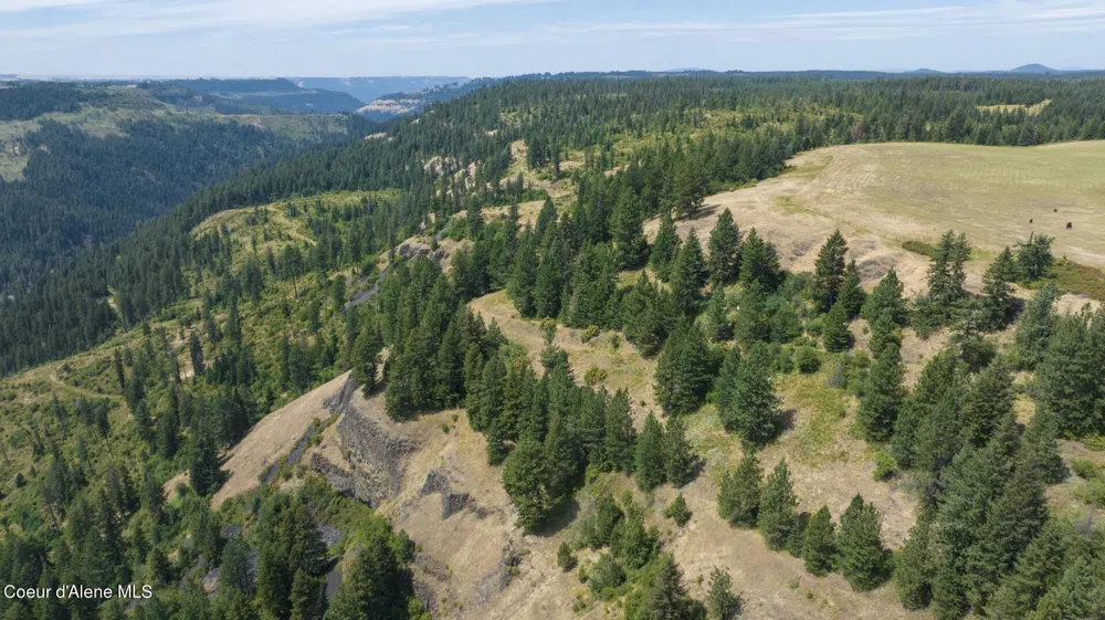 1605 Jasmine Ln, Parcels 16 & 17 Weippe, ID 83553