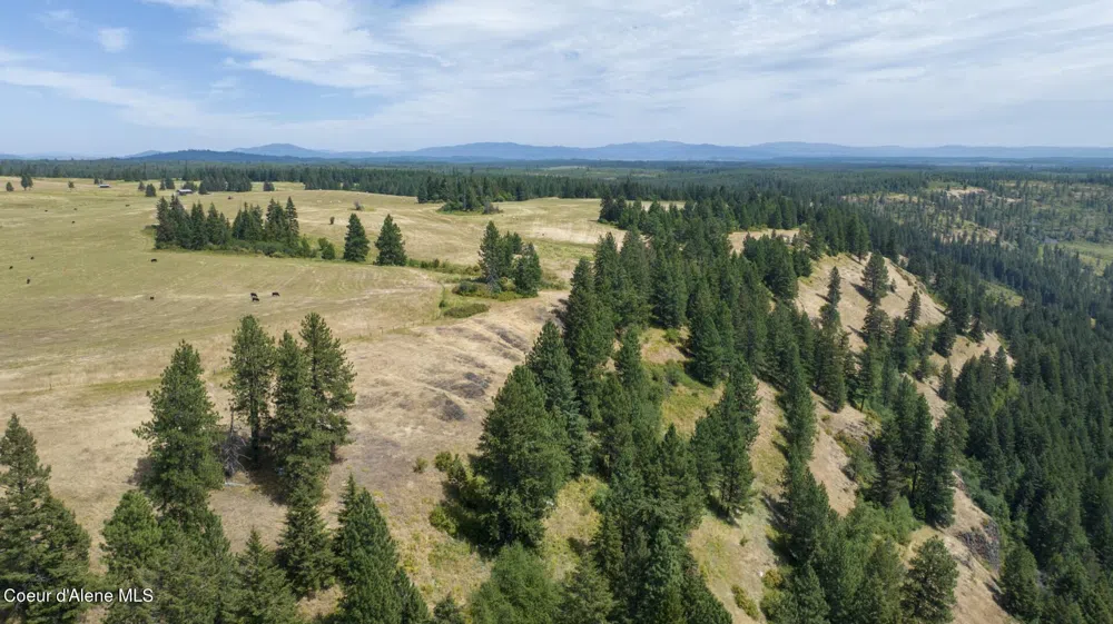 1605 Jasmine Ln, Parcels 14 & 15 Weippe, ID 83553
