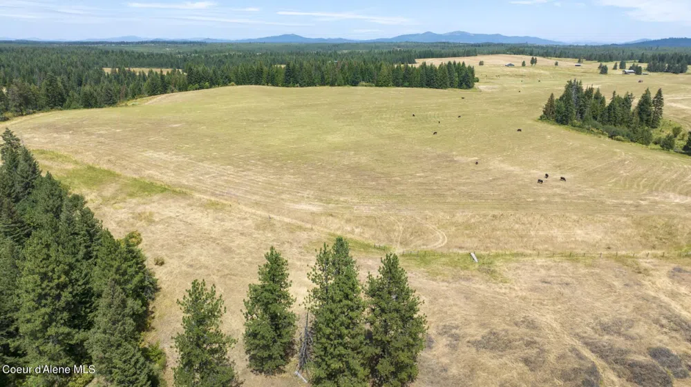 1605 Jasmine Ln, Parcels 14 & 15 Weippe, ID 83553