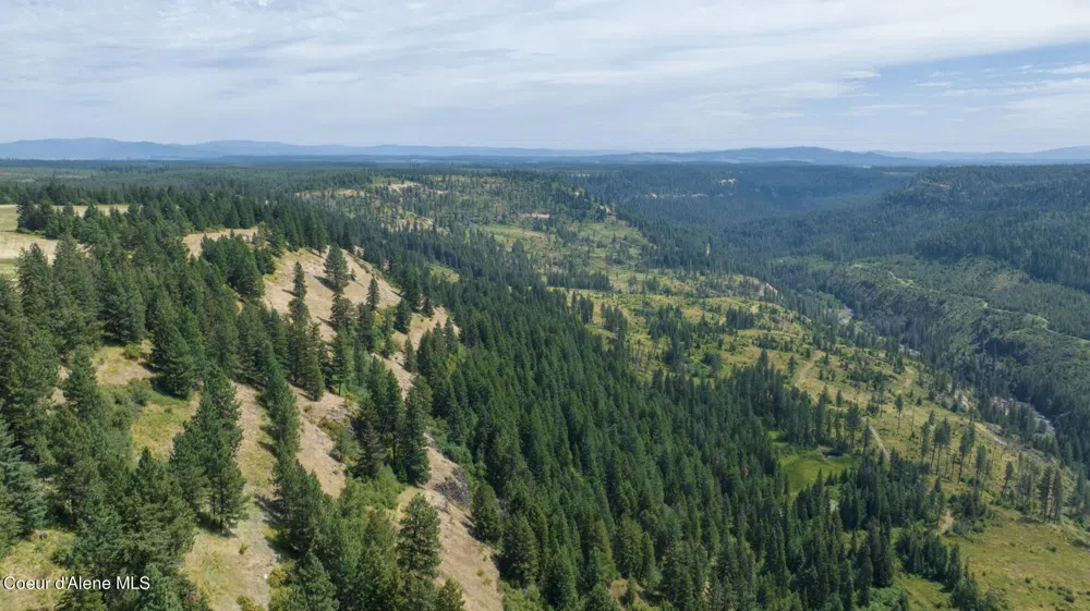 1605 Jasmine Ln, Parcels 14 & 15 Weippe, ID 83553