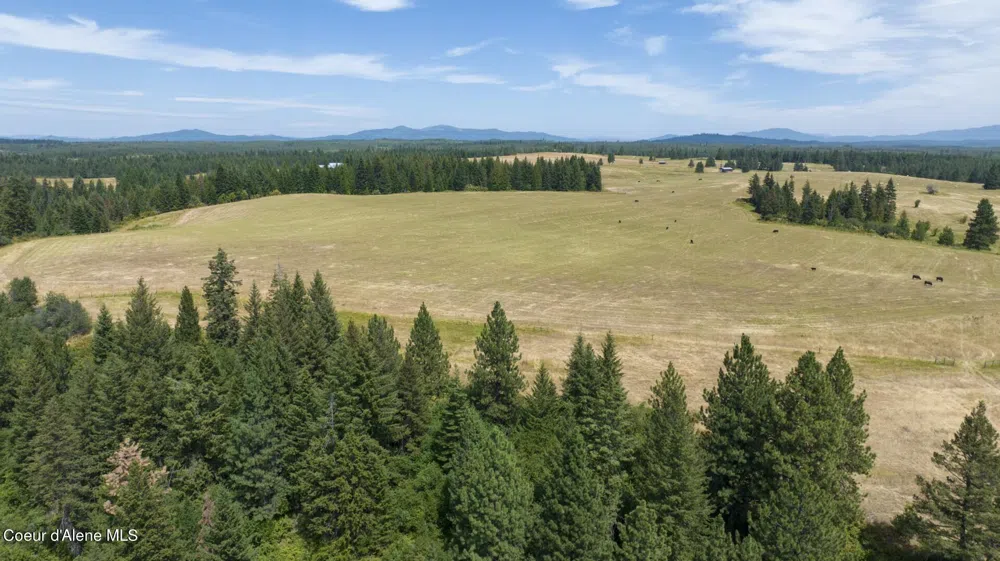 1605 Jasmine Ln, Parcels 14 & 15 Weippe, ID 83553