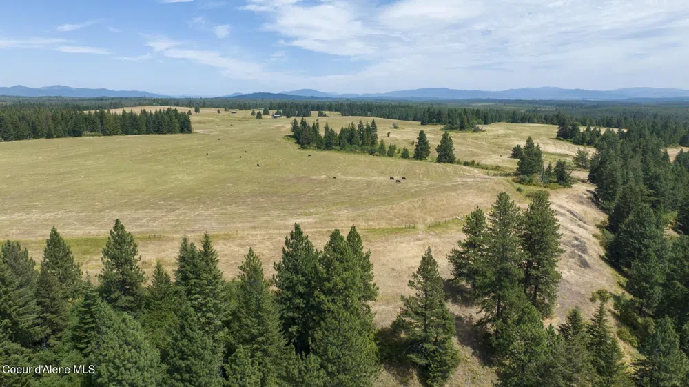 1605 Jasmine Ln, Parcels 14 & 15 Weippe, ID 83553