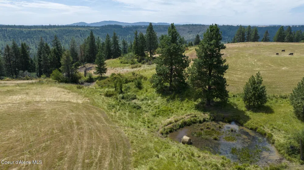 1605 Jasmine Ln, Parcels 14 & 15 Weippe, ID 83553