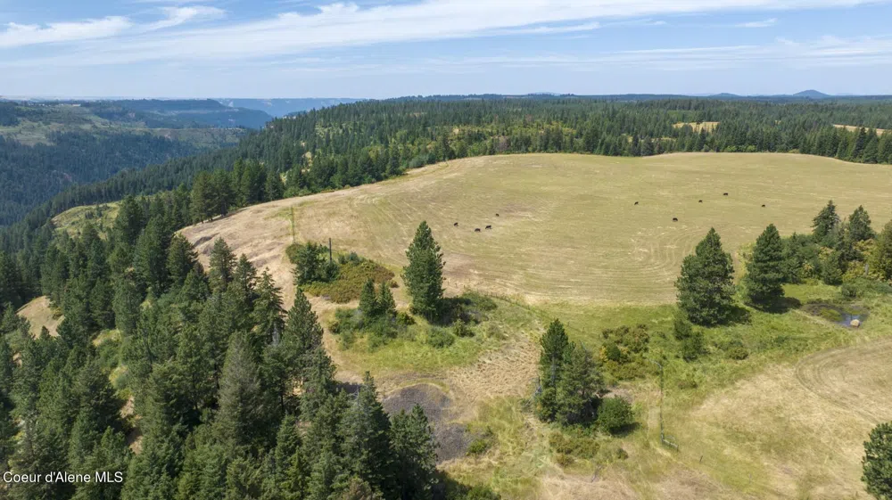 1605 Jasmine Ln, Parcels 14 & 15 Weippe, ID 83553