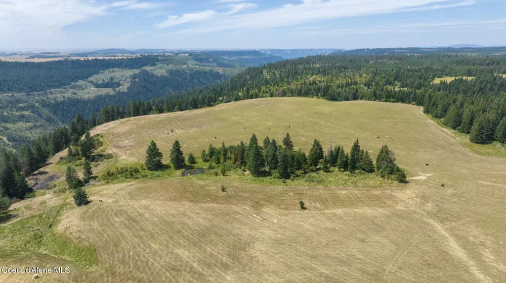 1605 Jasmine Ln, Parcels 14 & 15 Weippe, ID 83553