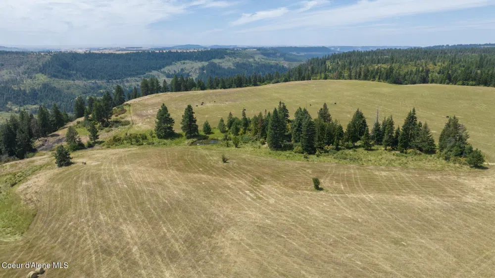 1605 Jasmine Ln, Parcels 14 & 15 Weippe, ID 83553