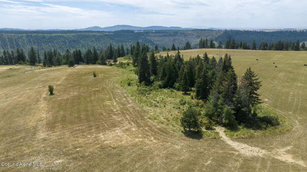 1605 Jasmine Ln, Parcels 14 & 15 Weippe, ID 83553