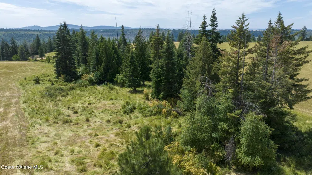 1605 Jasmine Ln, Parcels 14 & 15 Weippe, ID 83553