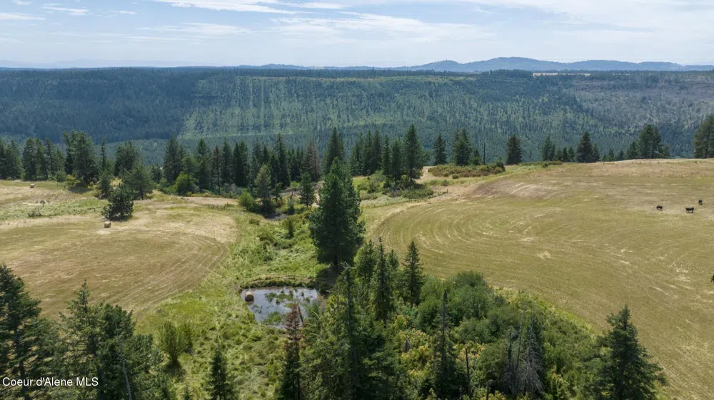 1605 Jasmine Ln, Parcels 14 & 15 Weippe, ID 83553