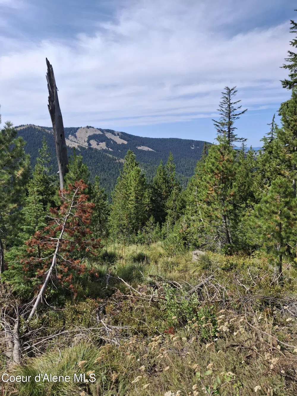 NKA Eagle Mining District Murray, ID 83874
