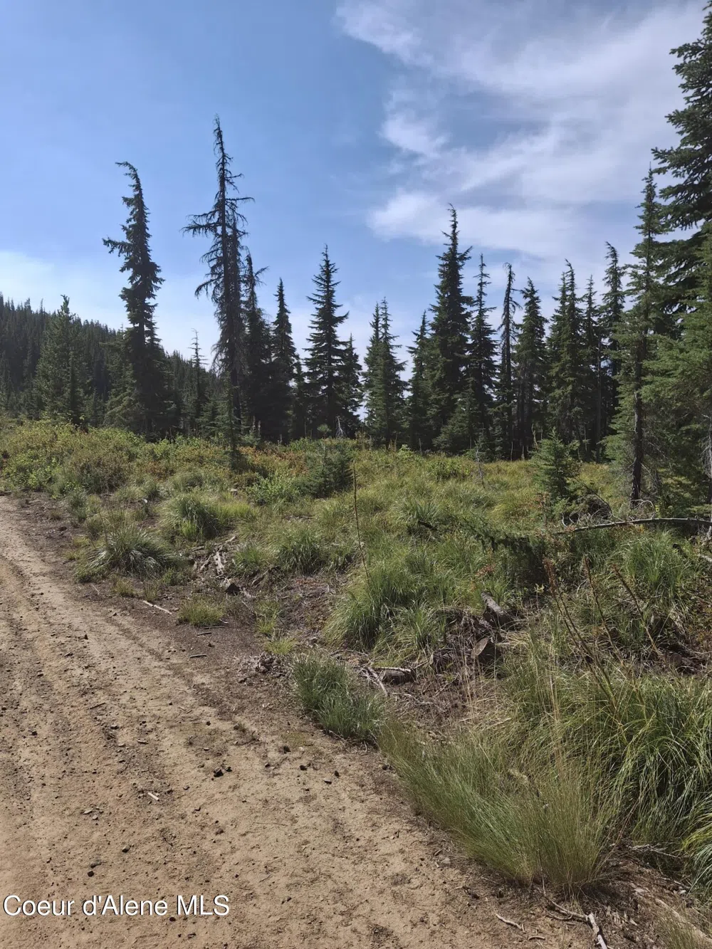 NKA Eagle Mining District Murray, ID 83874