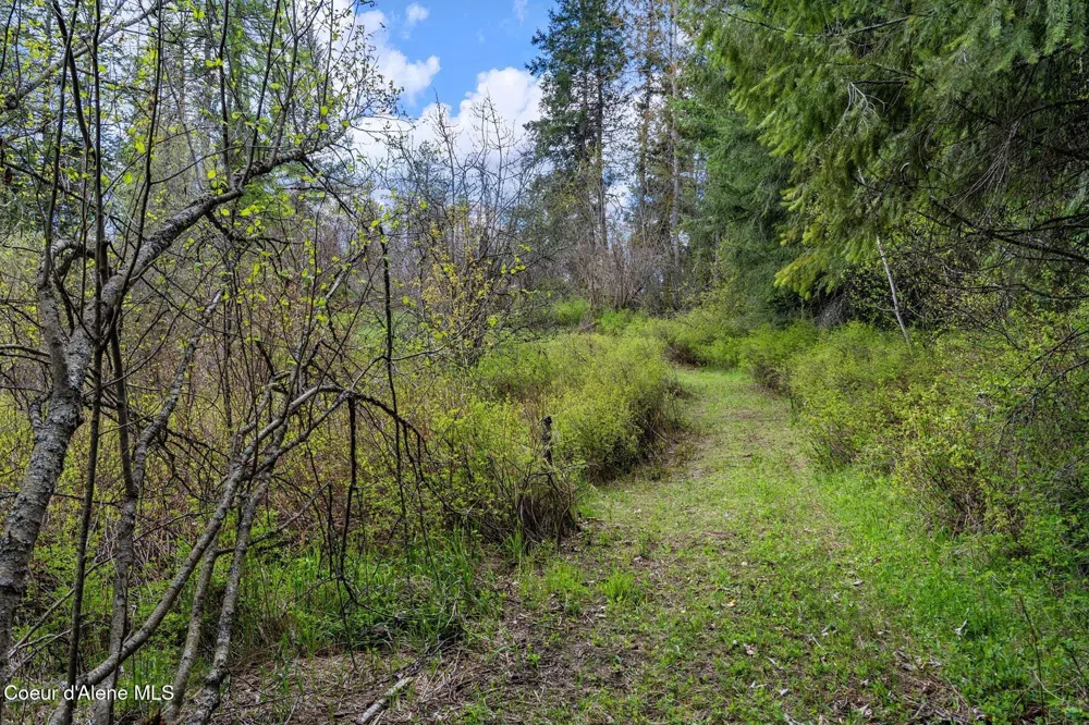 1438 Granite Loop Athol, ID 83801