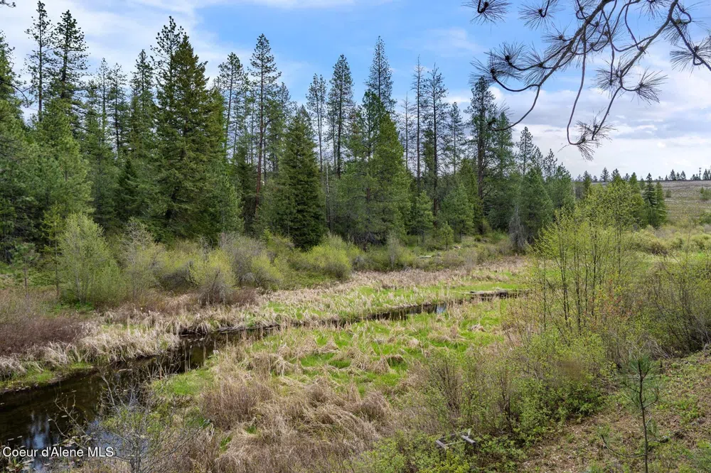 1438 Granite Loop Athol, ID 83801