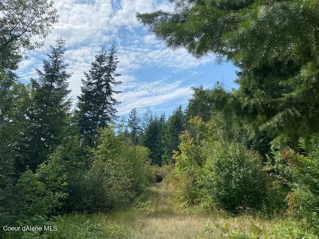 Lot A Highway 200 Hope, ID 83836