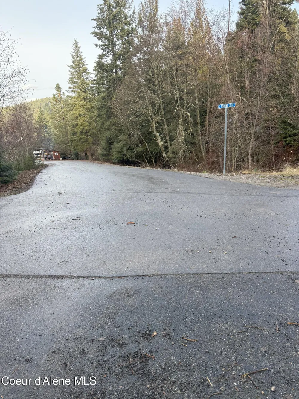 Lot 6 Flying Eagle Dr Harrison, ID 83833
