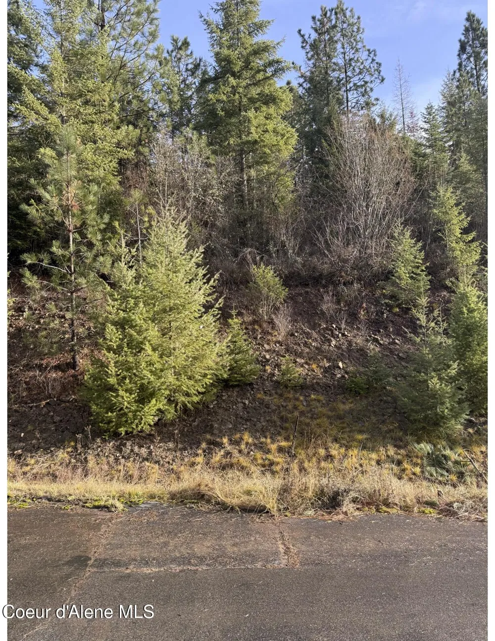 L15B1 Johnson Meadows Estates Harrison, ID 83833