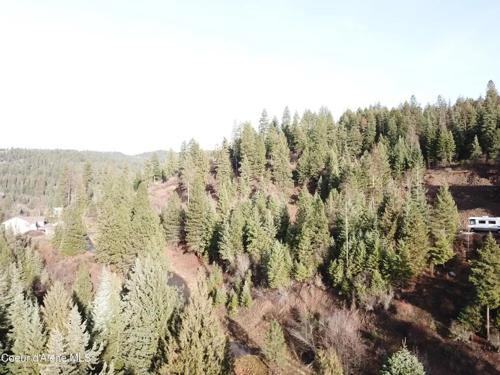 L15B1 Johnson Meadows Estates Harrison, ID 83833