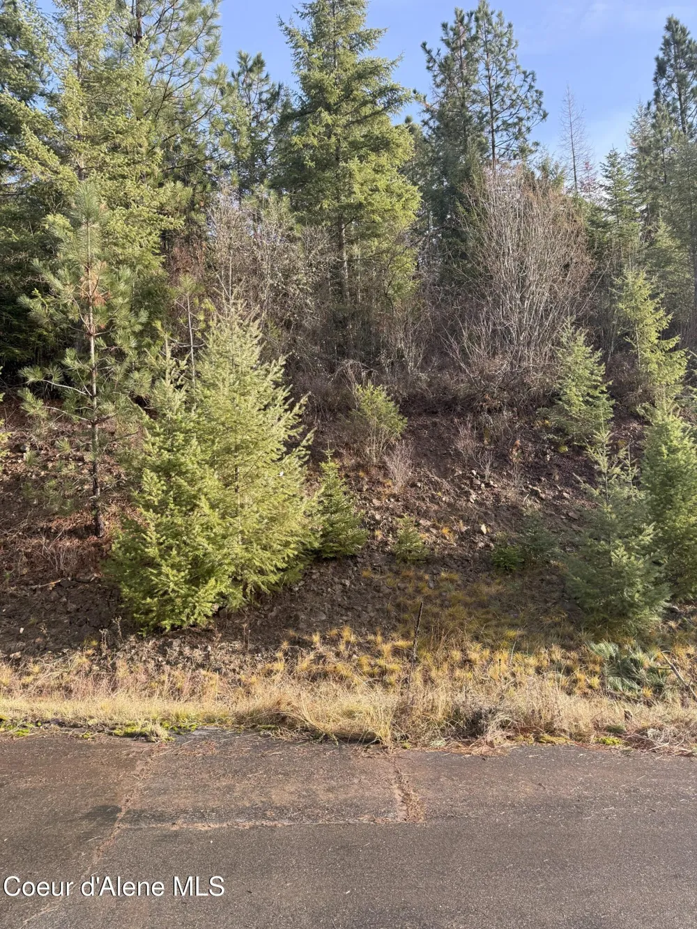 L15B1 Johnson Meadows Estates Harrison, ID 83833