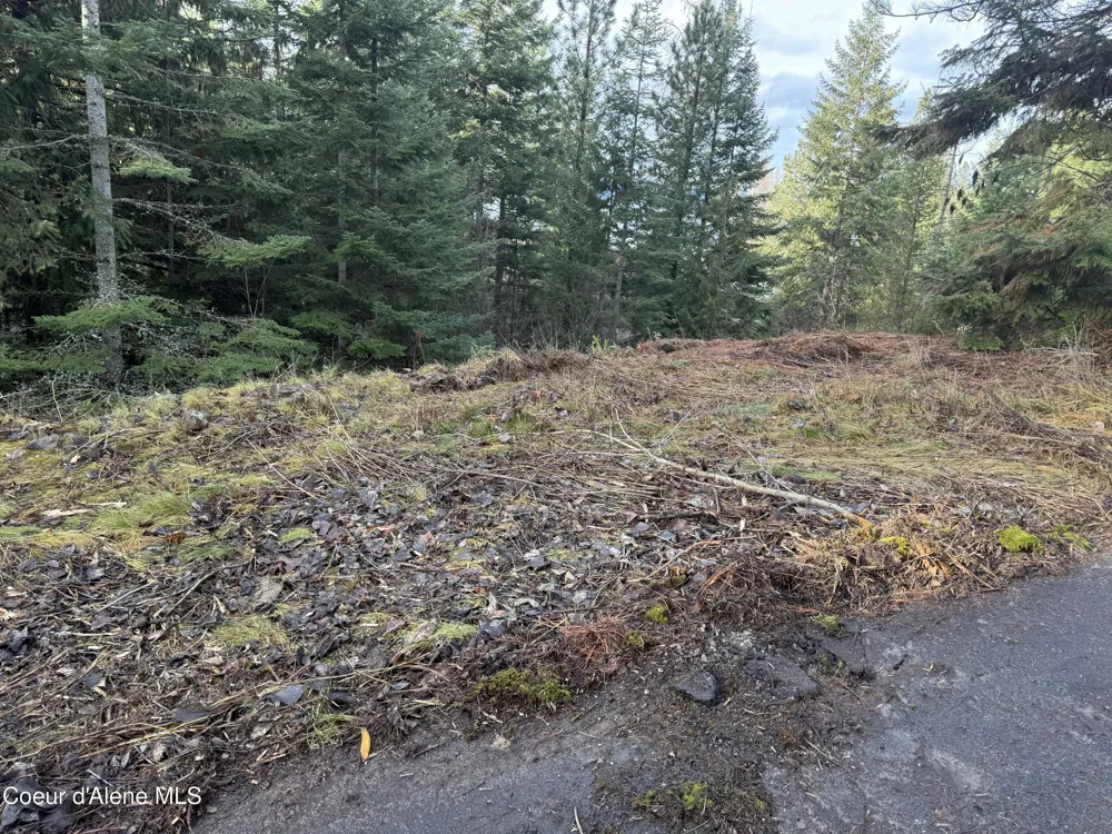 LOT 5 Flying Eagle Dr Harrison, ID 83833