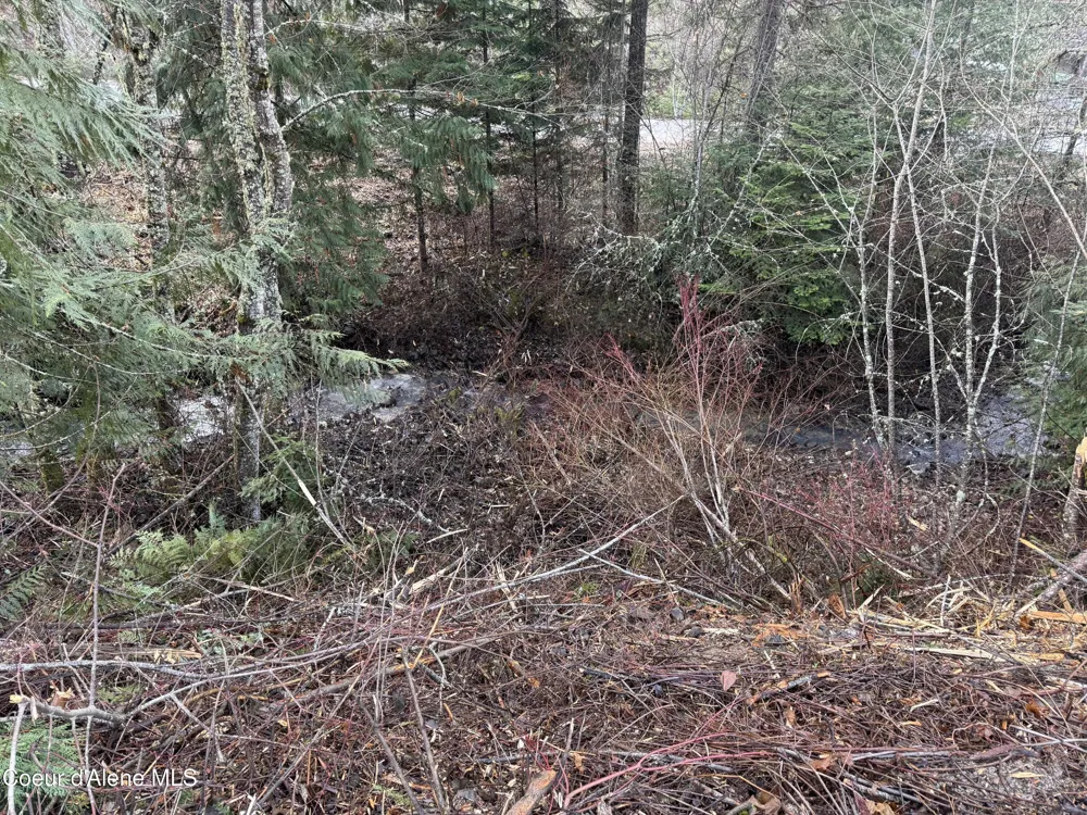 LOT 5 Flying Eagle Dr Harrison, ID 83833