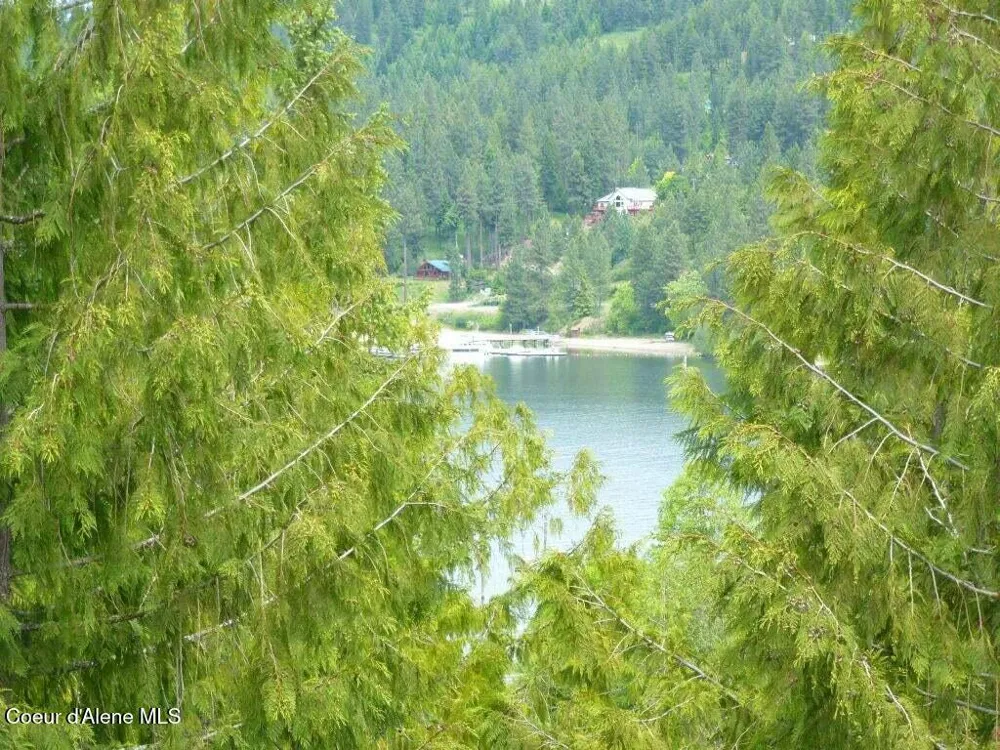LOT 5 Flying Eagle Dr Harrison, ID 83833