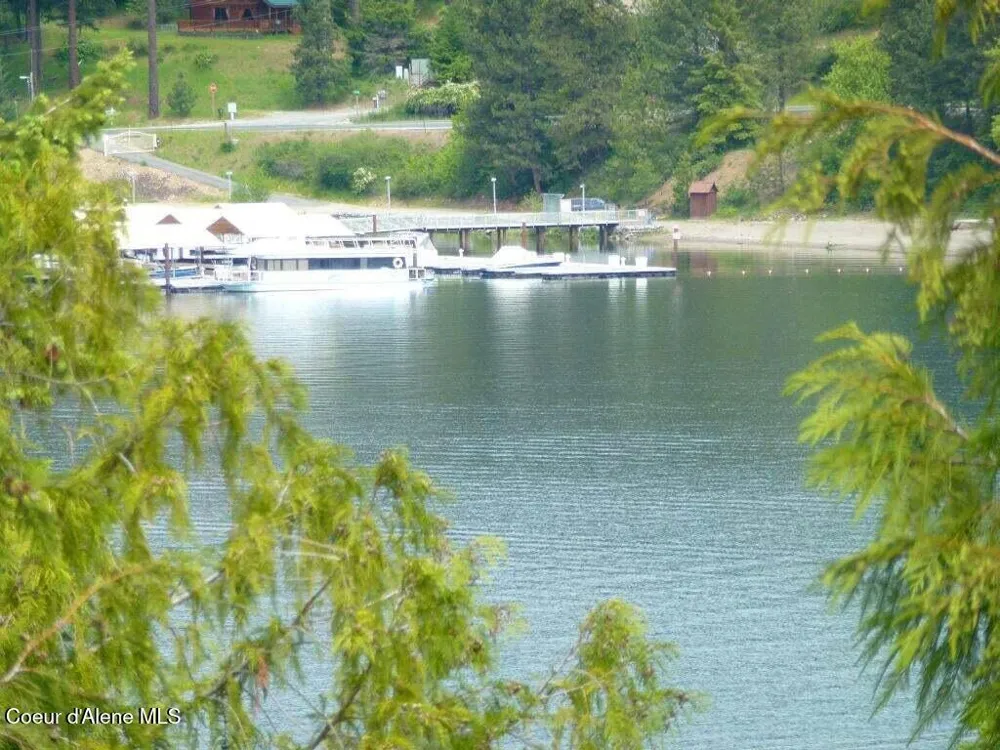 LOT 5 Flying Eagle Dr Harrison, ID 83833