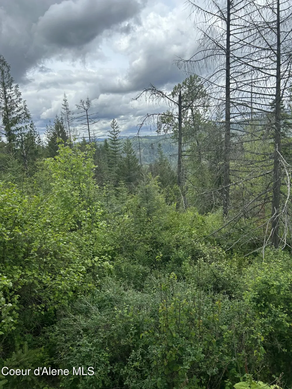 12 Kingston Way Kingston, ID 83839