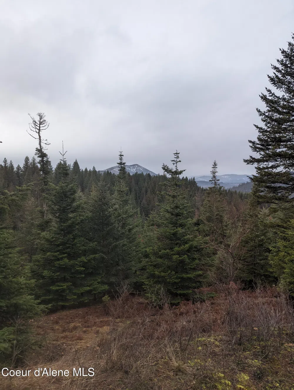 9 Kingston Way Kingston, ID 83839