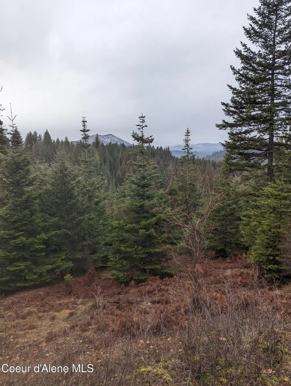 9 Kingston Way Kingston, ID 83839