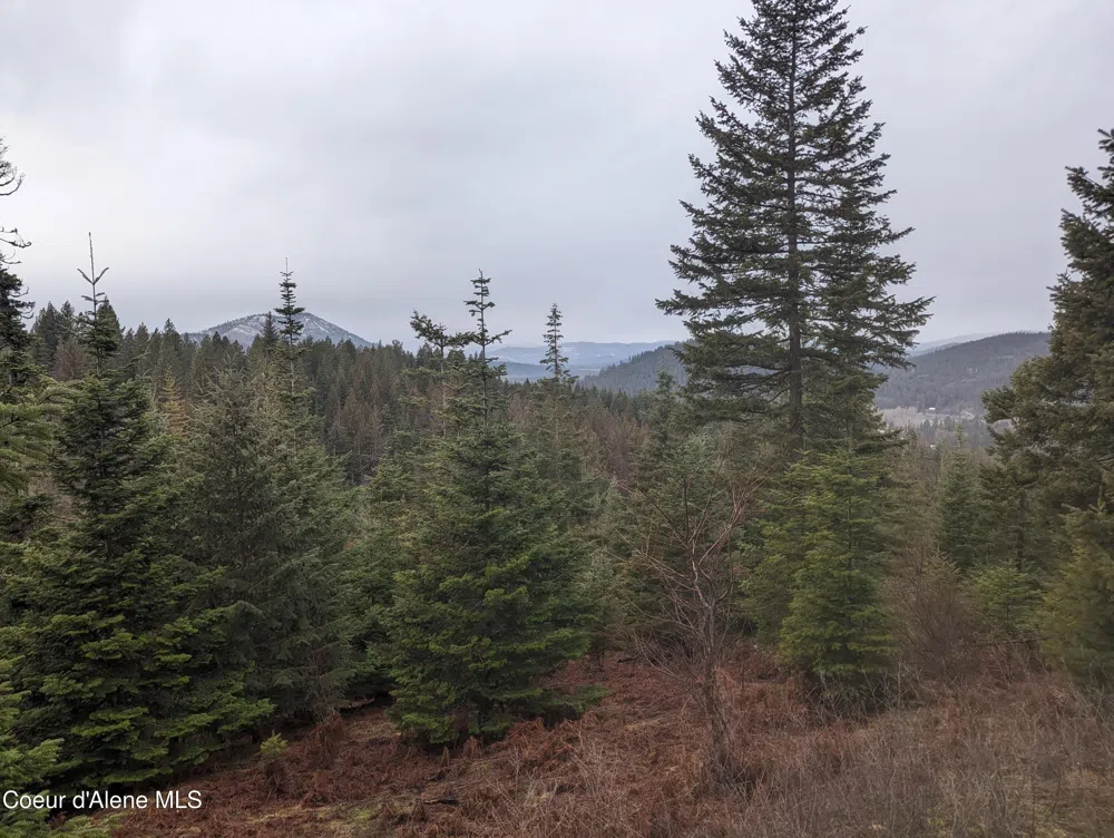 9 Kingston Way Kingston, ID 83839